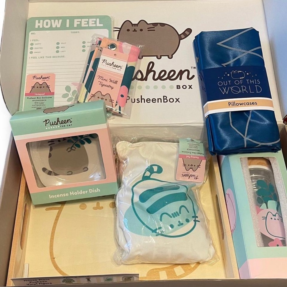 Pusheen Gift Box with Teal, Pink & Blue Accents